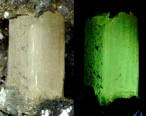 Phosgenite Mineral UV Light